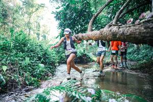 BIB: 
                            <button type="button" onclick="openModal(25441579)" class="btn btn-primary btn-sm float-right btn-popup" data-toggle="modal" data-target=".modal-high-quality">
                        <i class="fas fa-shopping-cart"></i> Add to Cart
                    </button>
                                            <button type="button" onclick="isThisMe(25441579, true)" class="btn btn-success btn-sm float-right btn-popup btn-isme hidden" data-toggle="tooltip" data-placement="bottom" title="นี่คือรูปของคุณใช่ไหม คลิกที่นี่เพื่อเอาเข้าอัลบั้ม">
                        <i class="fas fa-plus"></i> Add to album
                    </button>
                    <button type="button" onclick="isThisMe(25441579, false)" class="btn btn-warning btn-sm float-right btn-popup btn-isnotme hidden">
                        <i class="fas fa-ban"></i> Remove from album
                    </button>